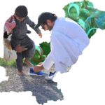 What is the Shahid Afridi Foundation?